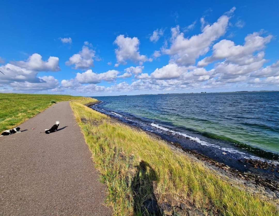 De Corner Van Zeeland Met Jacuzzi Sint Annaland Exterior photo